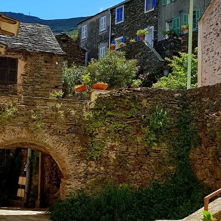 Maison De Village Avec Terrasse Ombragee Sisco